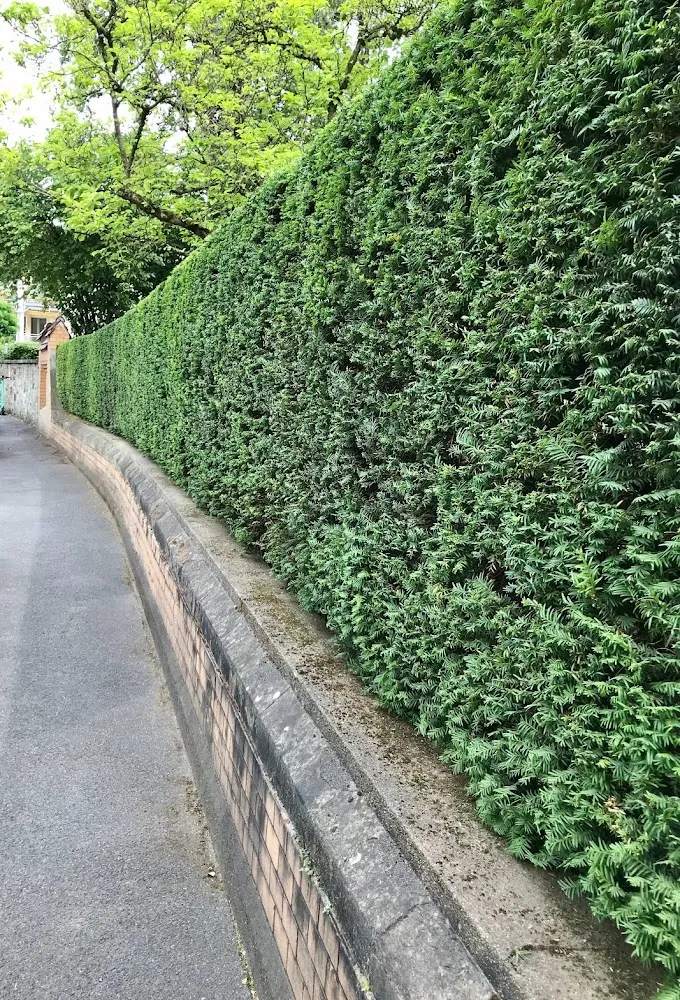 Referenz aus Wiesbaden: Hochdruckreinigung